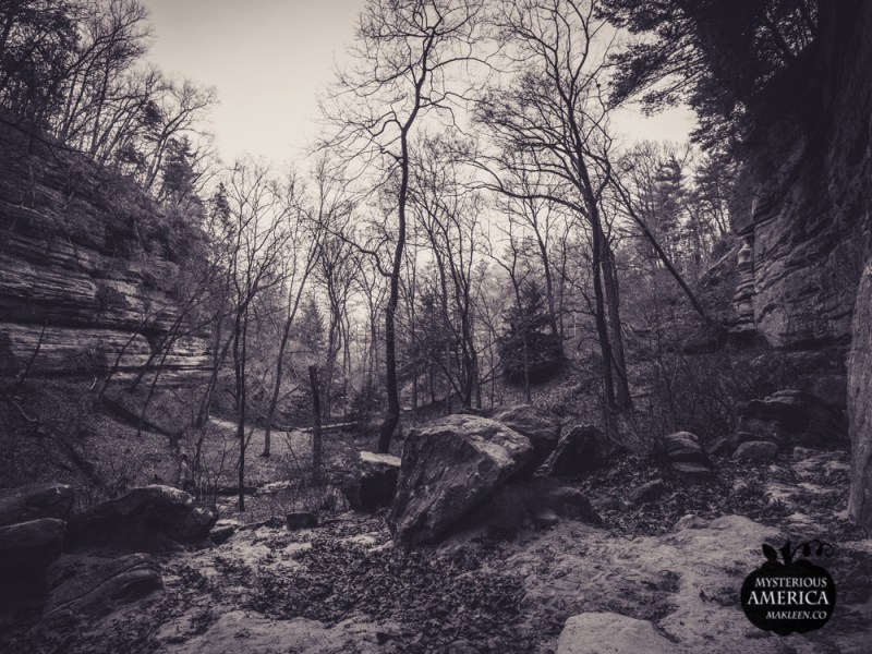 Photo by Michael Kleen