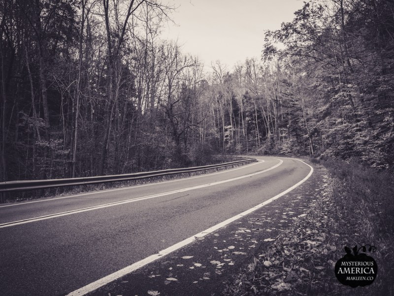 Photo by Michael Kleen