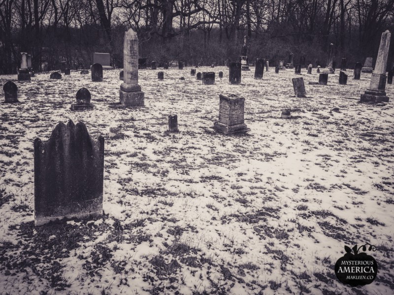 Photo by Michael Kleen