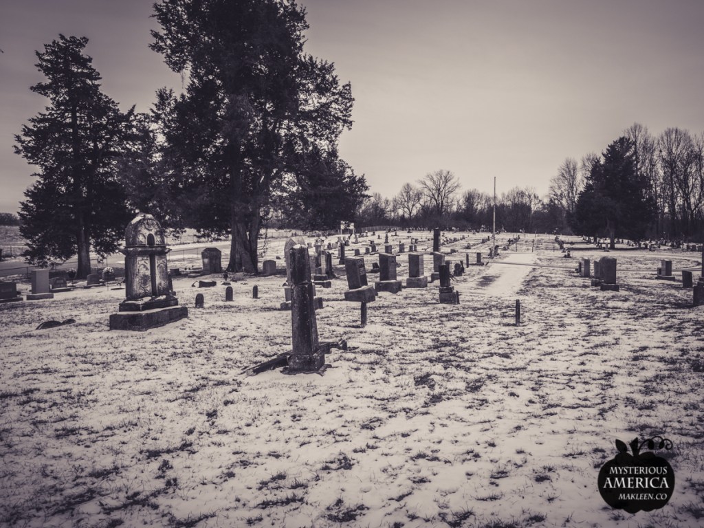 Photo by Michael Kleen