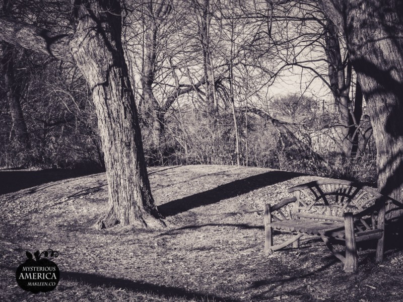 Photo by Michael Kleen