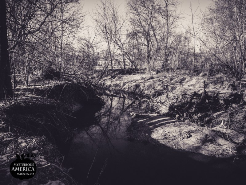 Photo by Michael Kleen