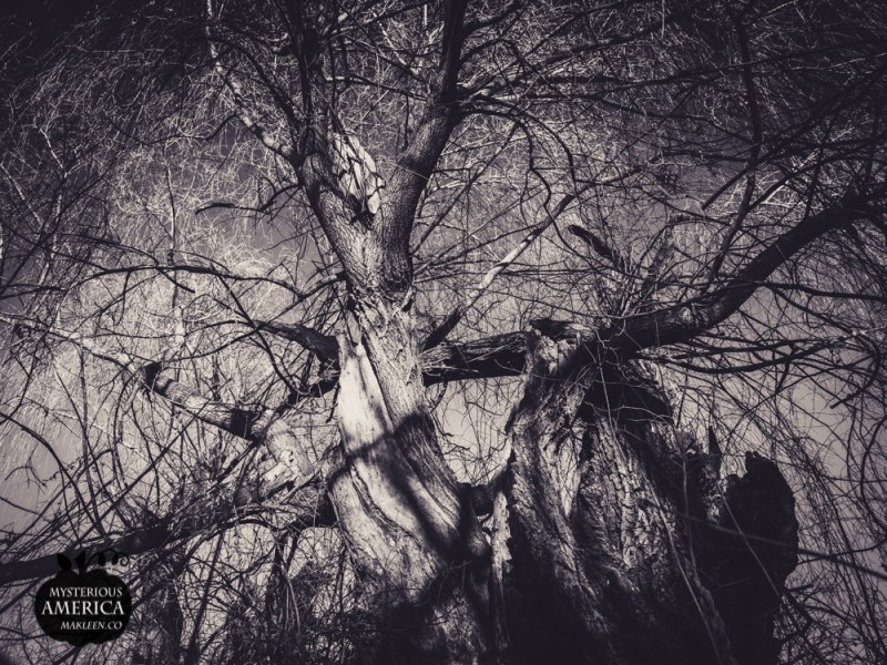 Photo by Michael Kleen