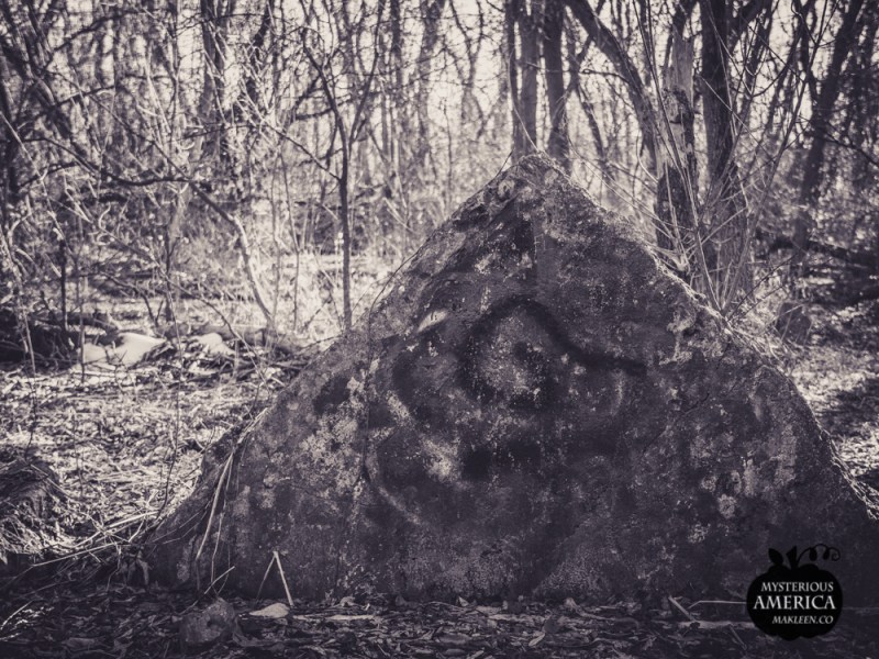 Photo by Michael Kleen