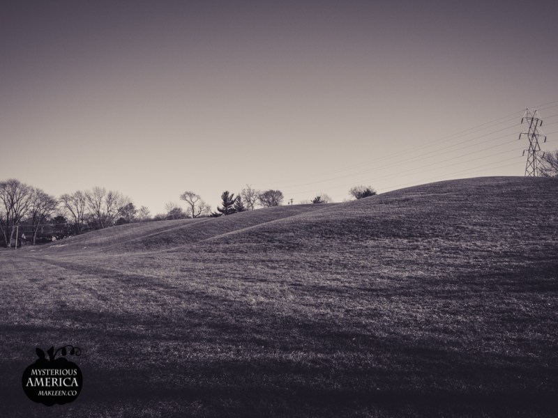 Photo by Michael Kleen