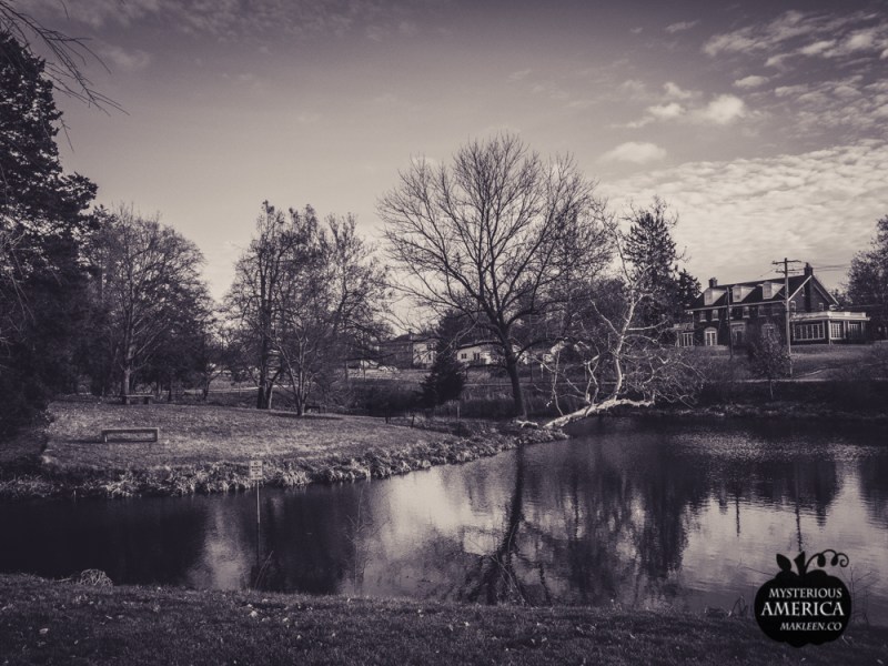 Photo by Michael Kleen