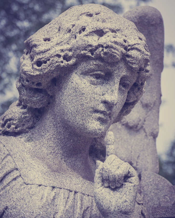 Photo by Michael Kleen