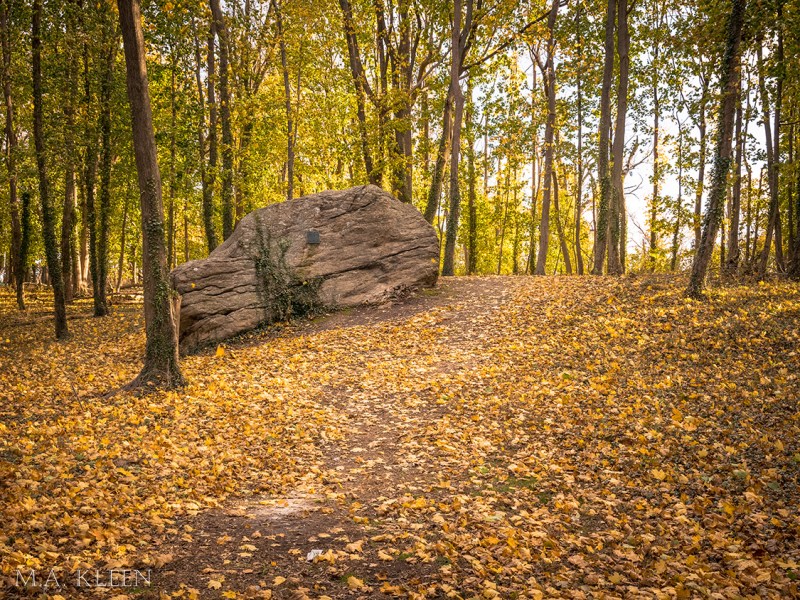 Photo by Michael Kleen