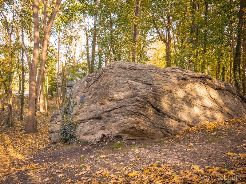 Photo by Michael Kleen