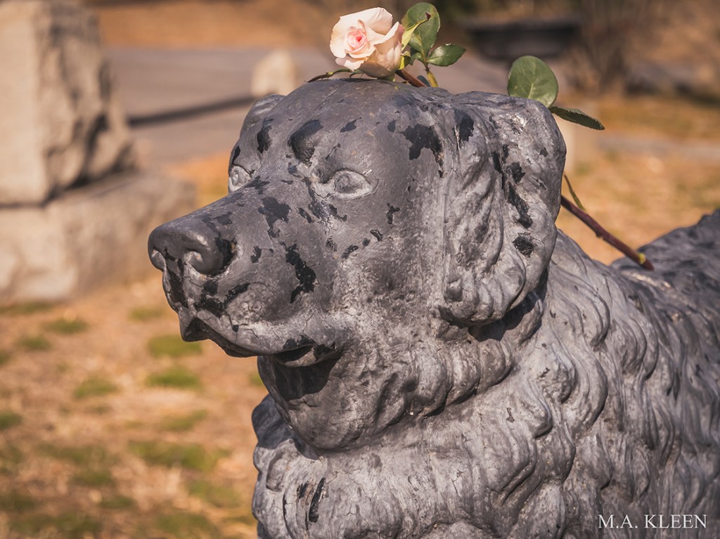 Loyal to the&nbsp;Grave