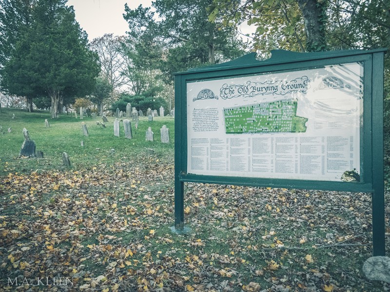 Photo by Michael Kleen