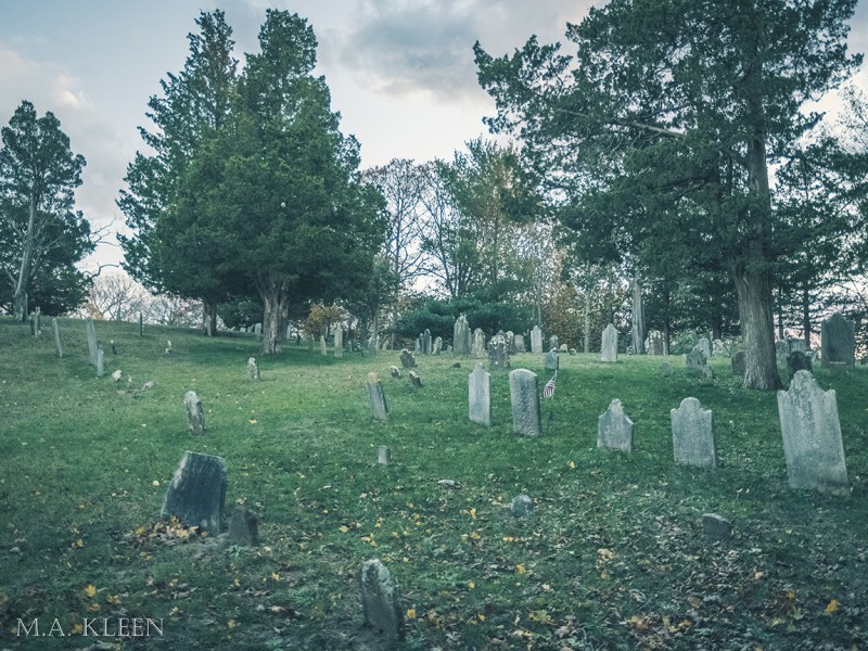 Photo by Michael Kleen