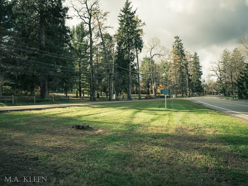 Photo by Michael Kleen