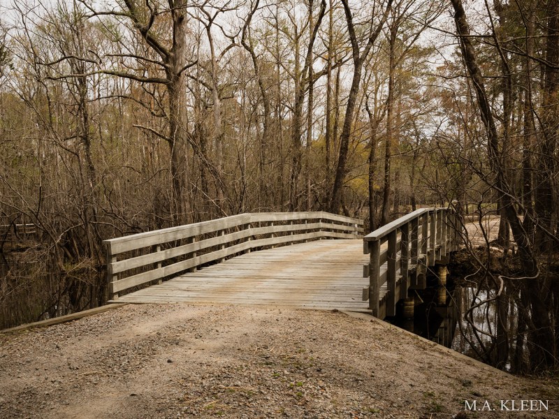 Photo by Michael Kleen