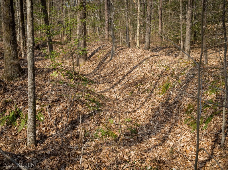 Photo by Michael Kleen