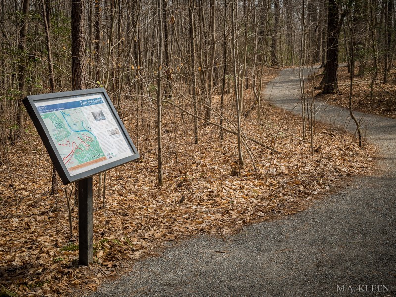 Photo by Michael Kleen