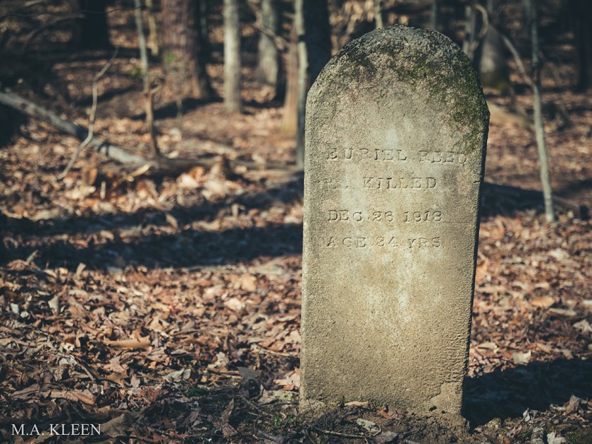 Photo by Michael Kleen