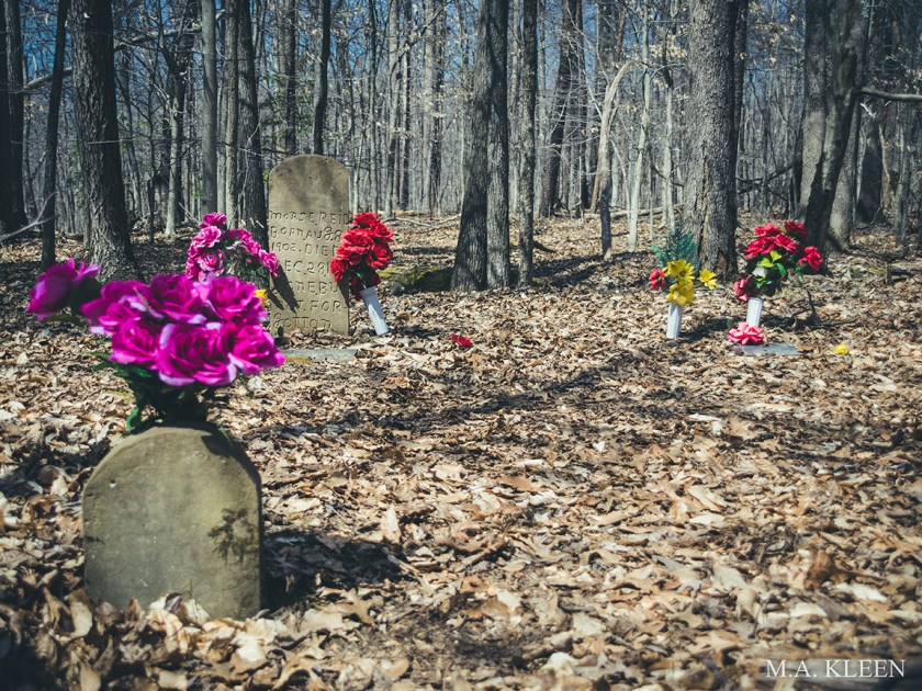 Photo by Michael Kleen