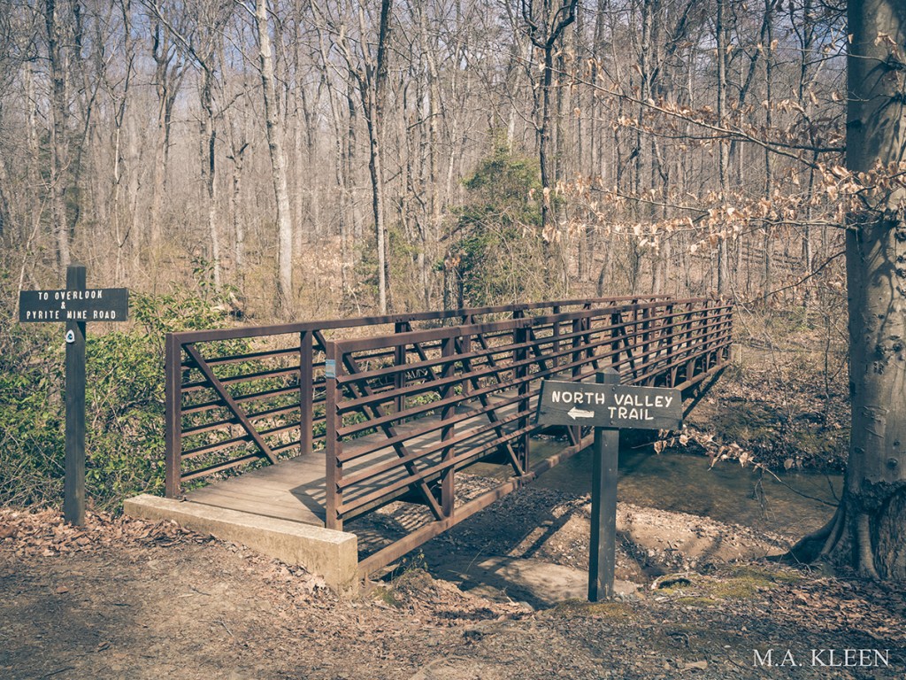 Photo by Michael Kleen