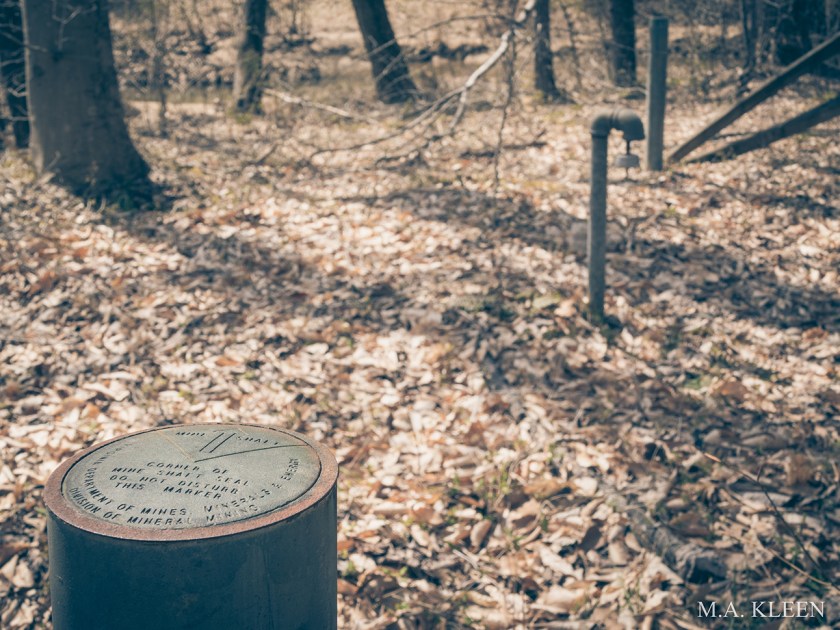 Photo by Michael Kleen