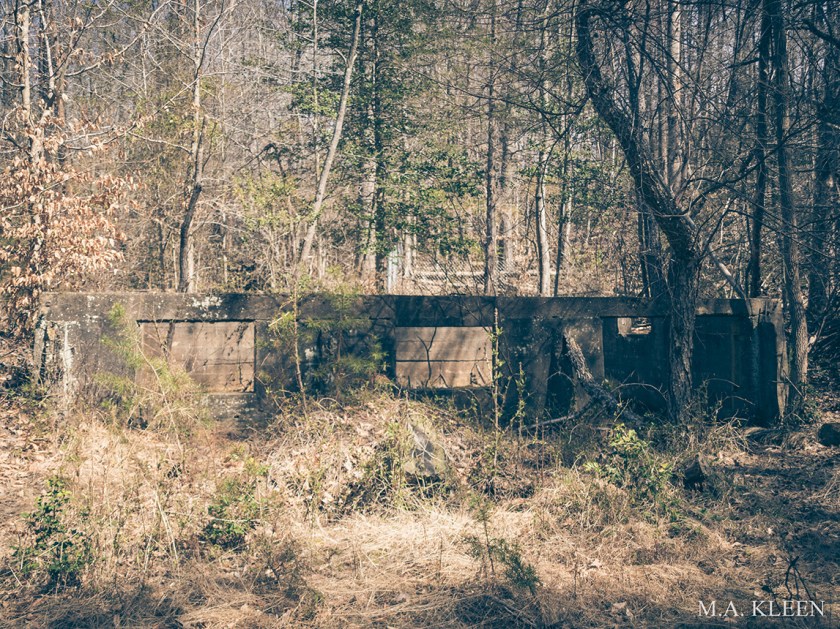 Photo by Michael Kleen