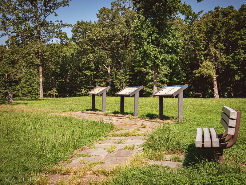 Photo by Michael Kleen