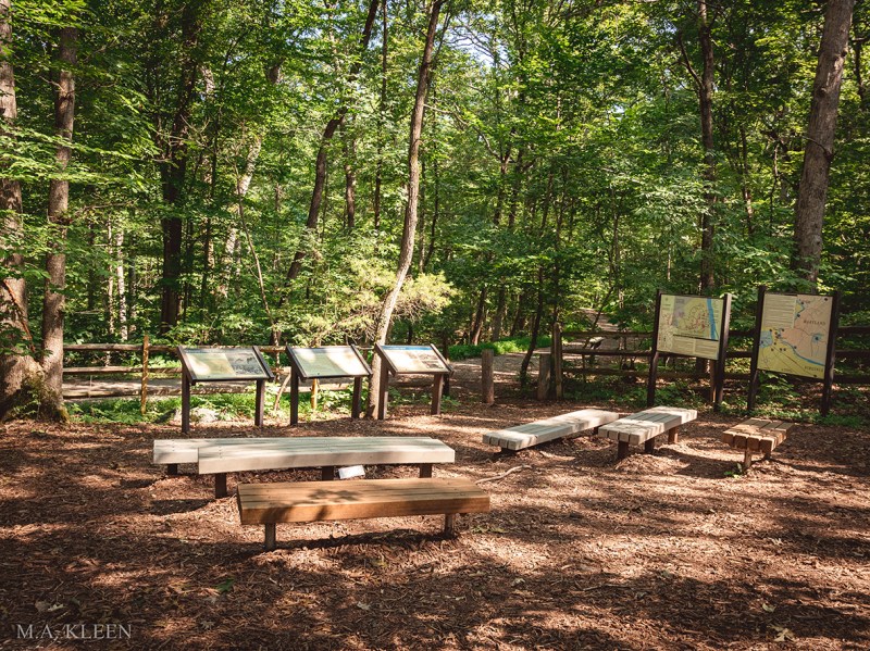 Photo by Michael Kleen