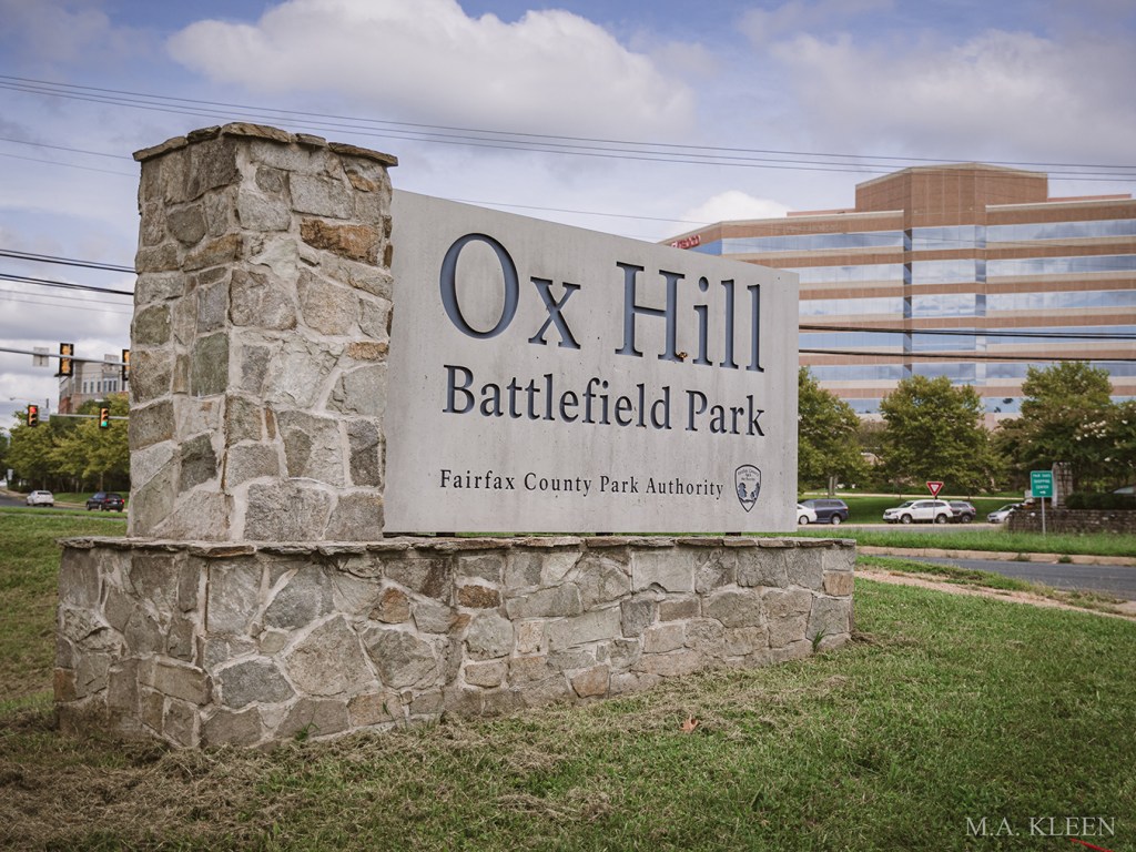 Photo by Michael Kleen