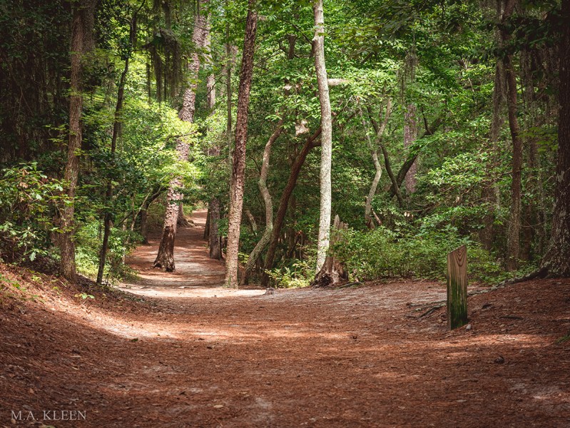 Photo by Michael Kleen