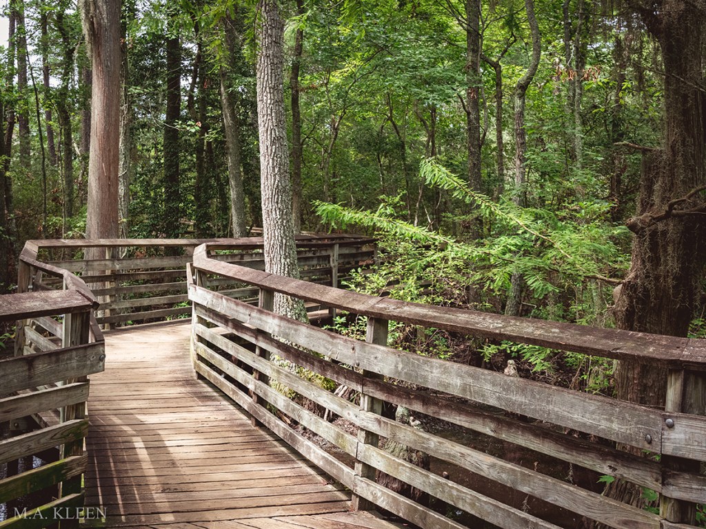 Photo by Michael Kleen