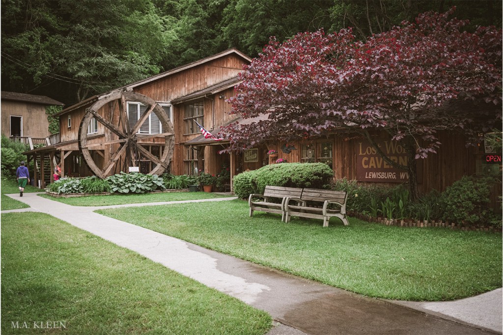 Photo by Michael Kleen