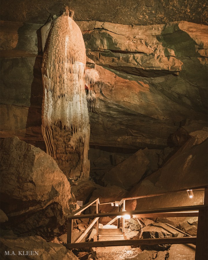 Photo by Michael Kleen