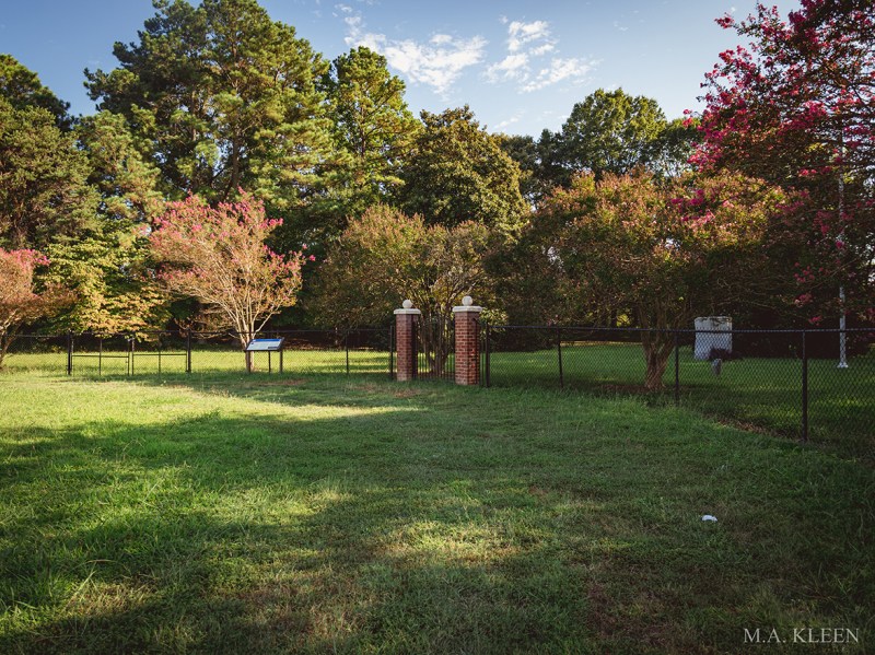 Photo by Michael Kleen