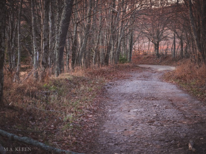 Photo by Michael Kleen