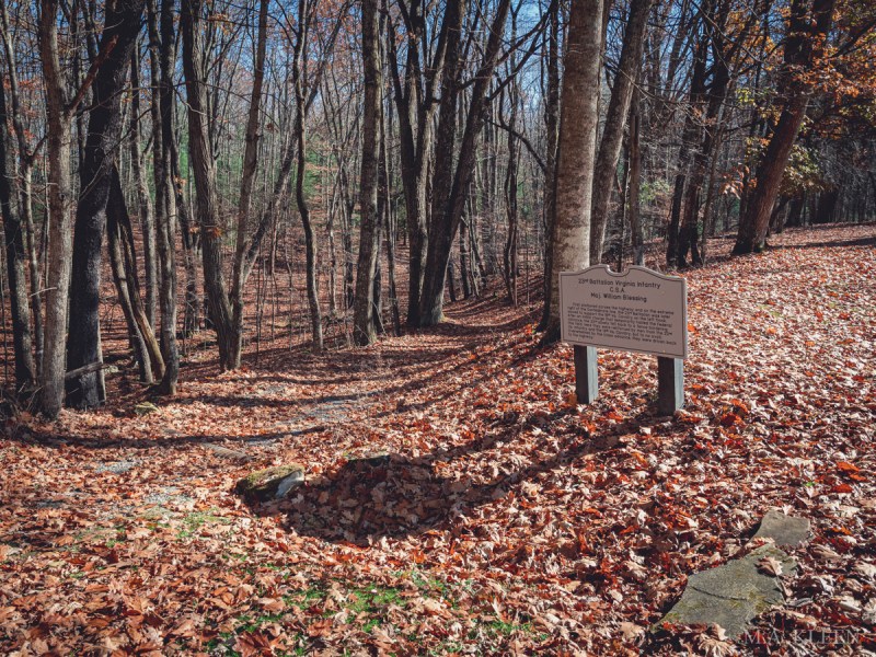 Photo by Michael Kleen