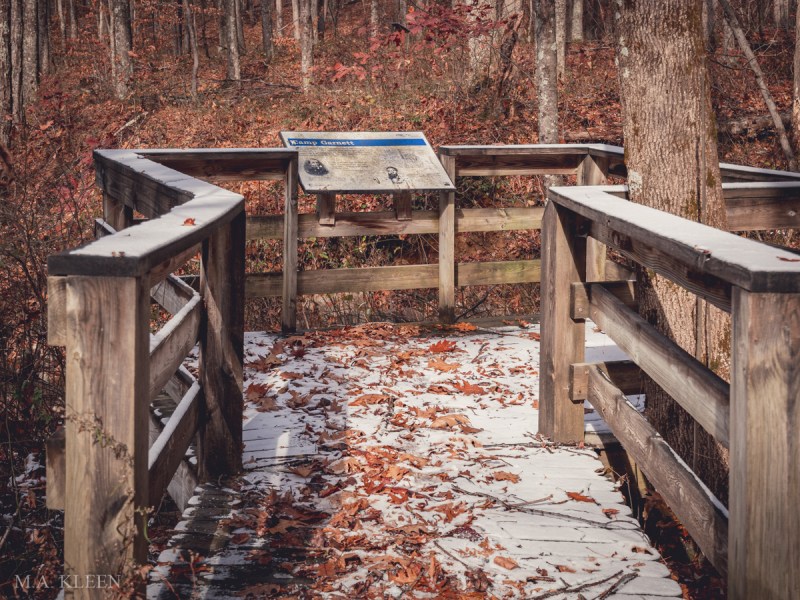 Photo by Michael Kleen