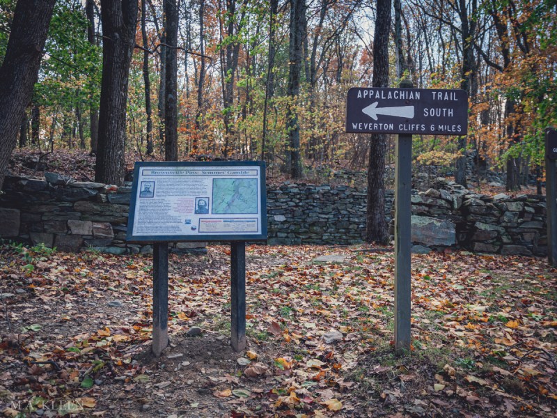 Photo by Michael Kleen