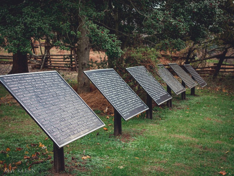 Photo by Michael Kleen