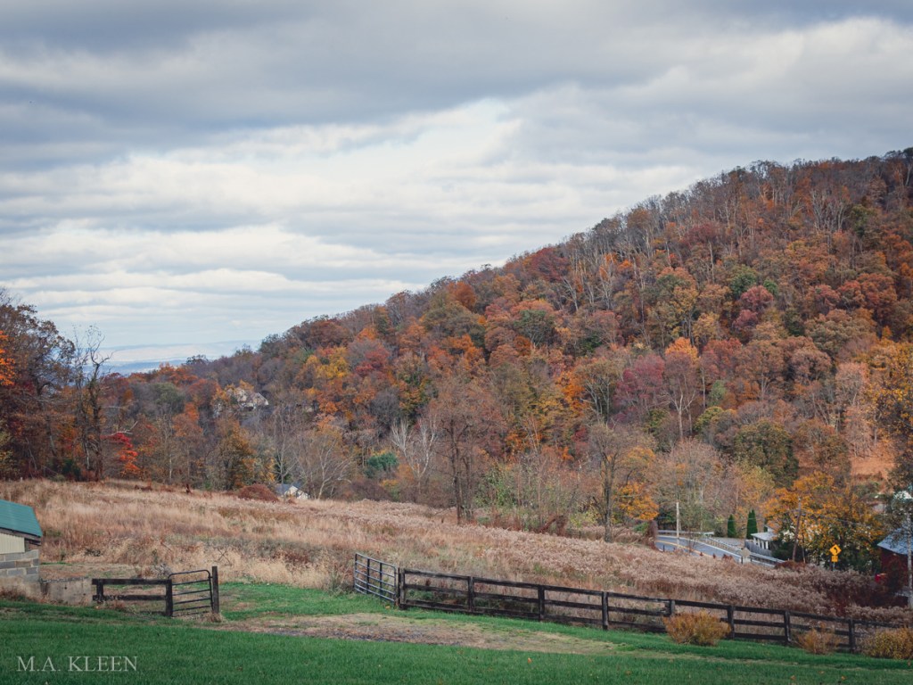 Photo by Michael Kleen