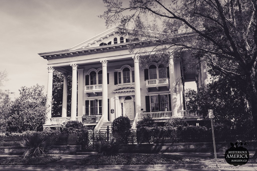 Photo by Michael Kleen