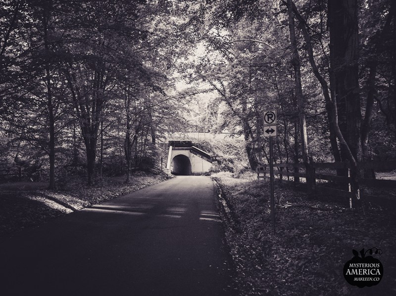 Photo by Michael Kleen