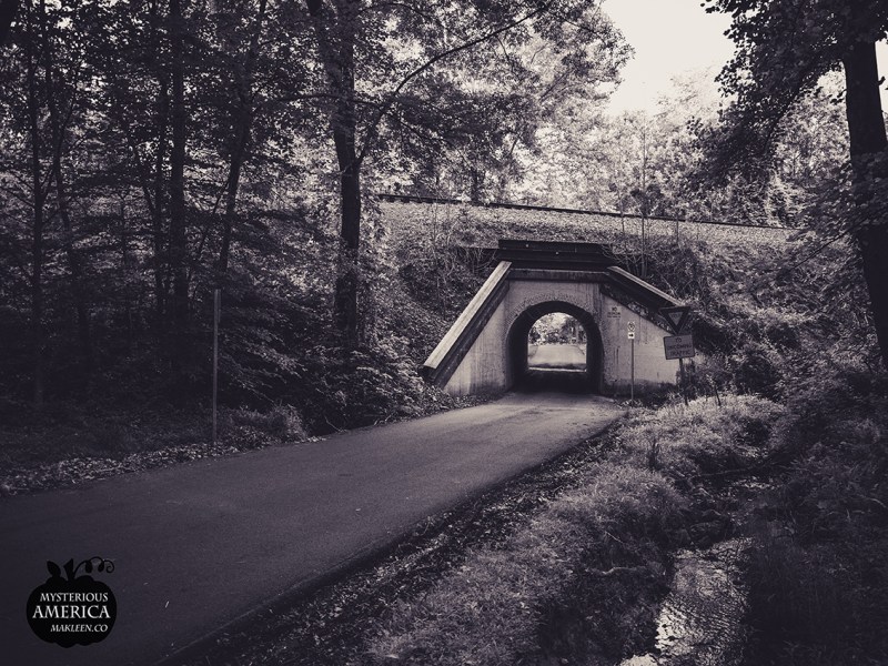 Photo by Michael Kleen