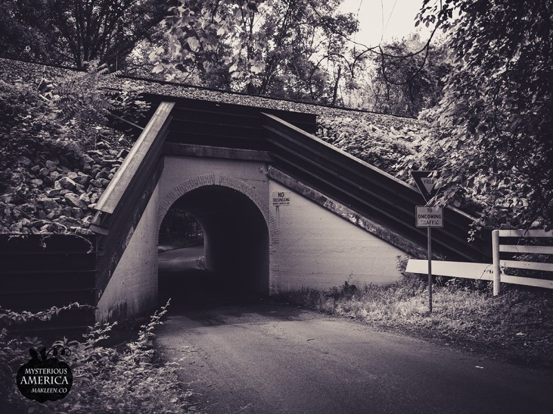 Photo by Michael Kleen