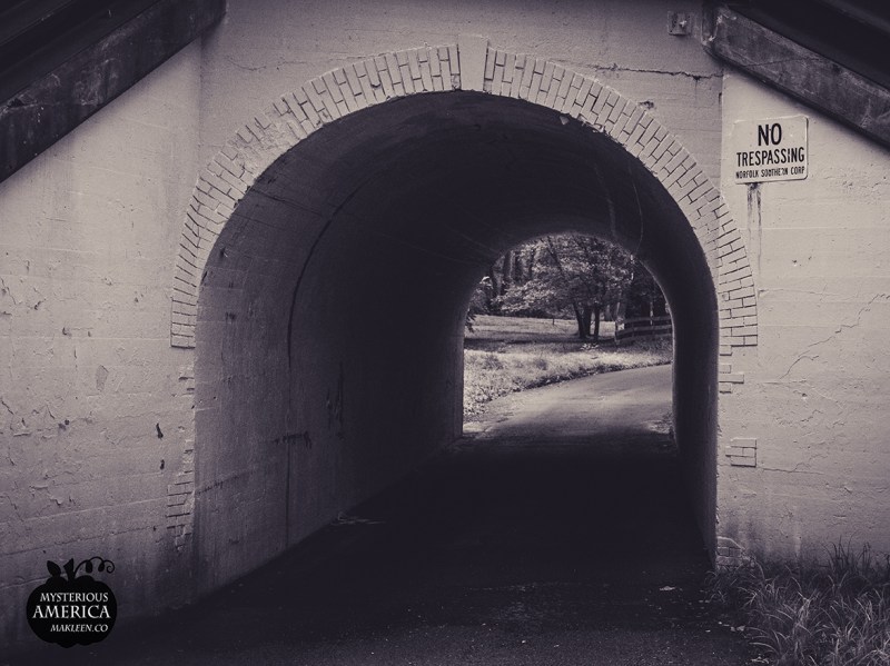 Photo by Michael Kleen