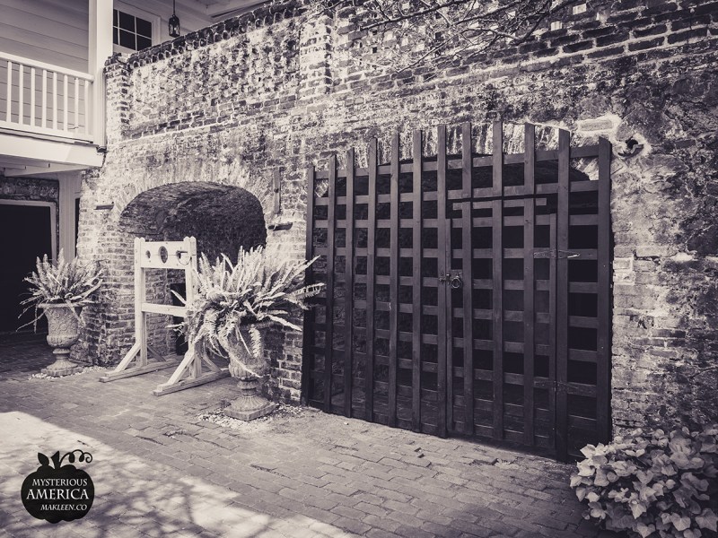 Photo by Michael Kleen