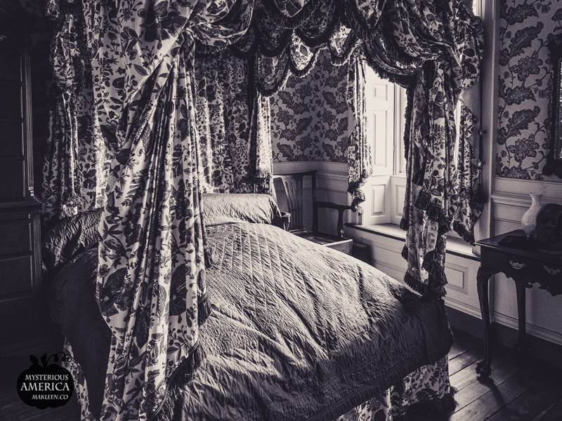 Photo by Michael Kleen