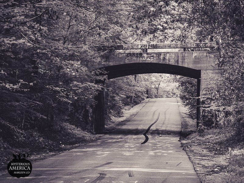 Photo by Michael Kleen