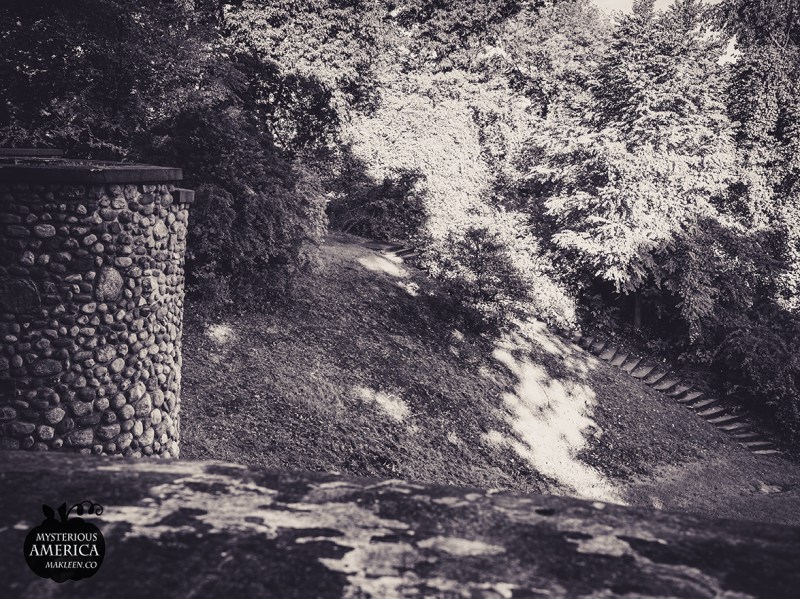 Photo by Michael Kleen