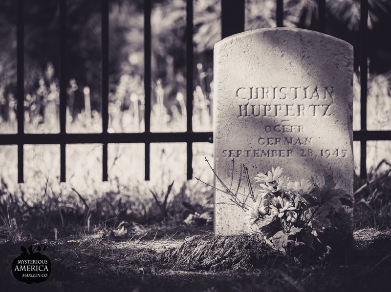 Photo by Michael Kleen