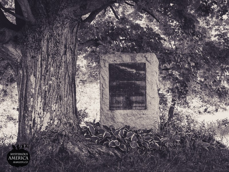 Photo by Michael Kleen